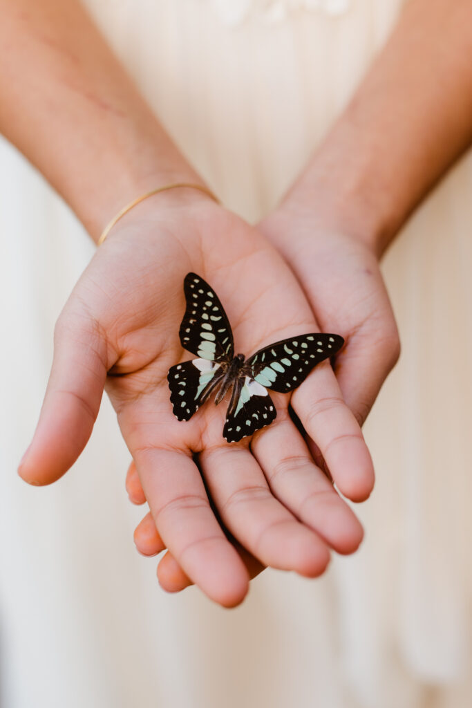 Spring Wedding.  Butterfly 